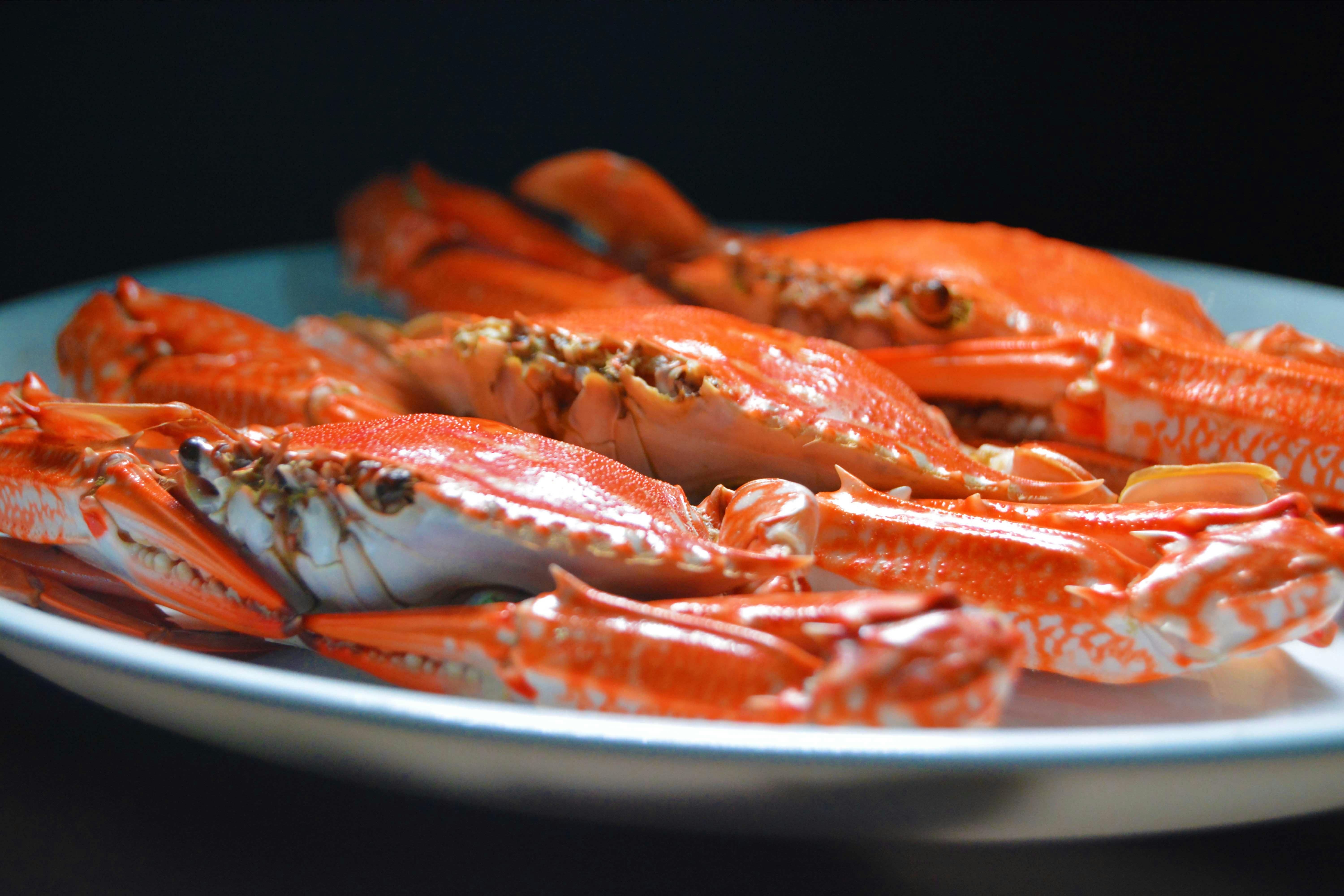 Sea Food